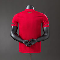 Camiseta Portugal Local 2010 Adultos