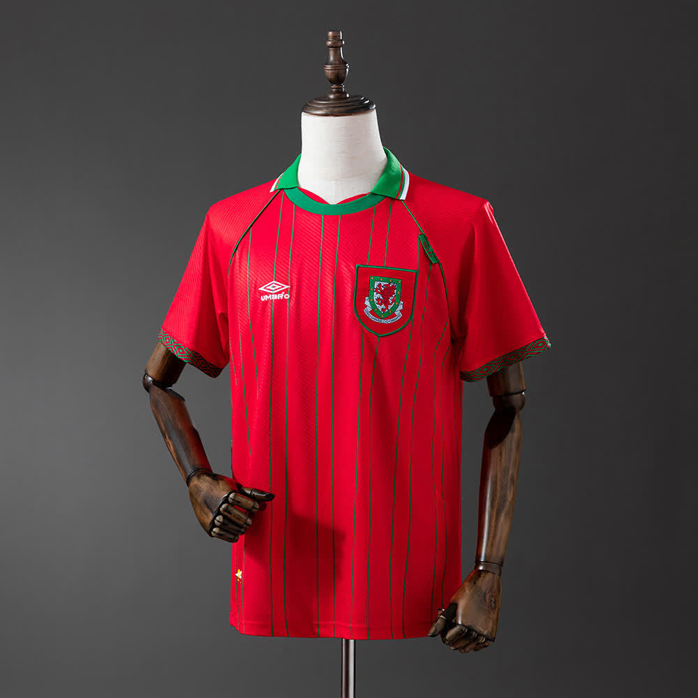 Camiseta Gales Local 94/96 Adultos