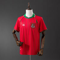 Camiseta Gales Local 94/96 Adultos