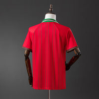 Camiseta Gales Local 94/96 Adultos